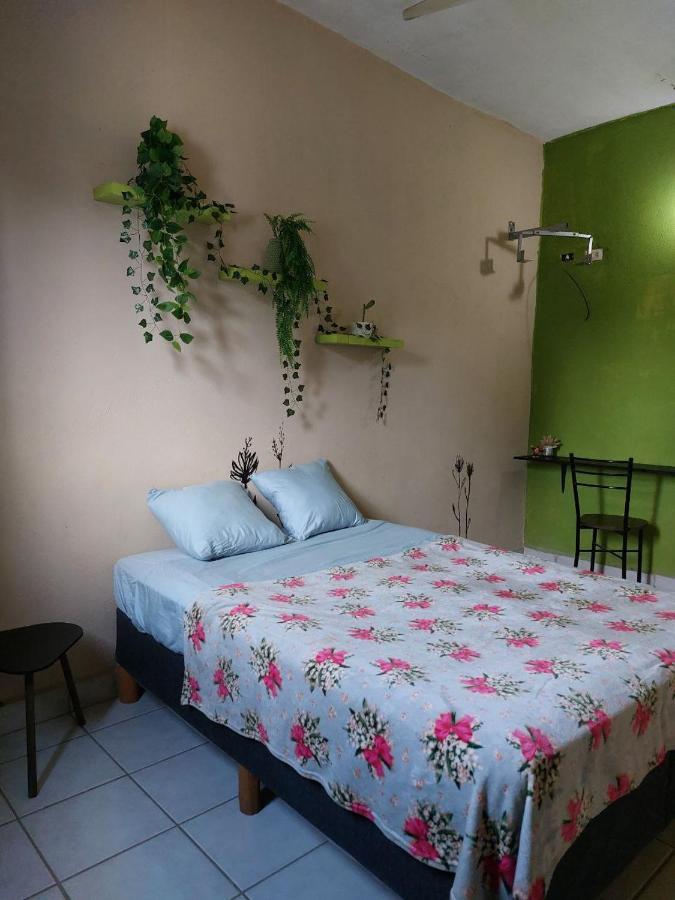 Cho Ku Rei Hostal Сан-Хосе-дель-Кабо Экстерьер фото